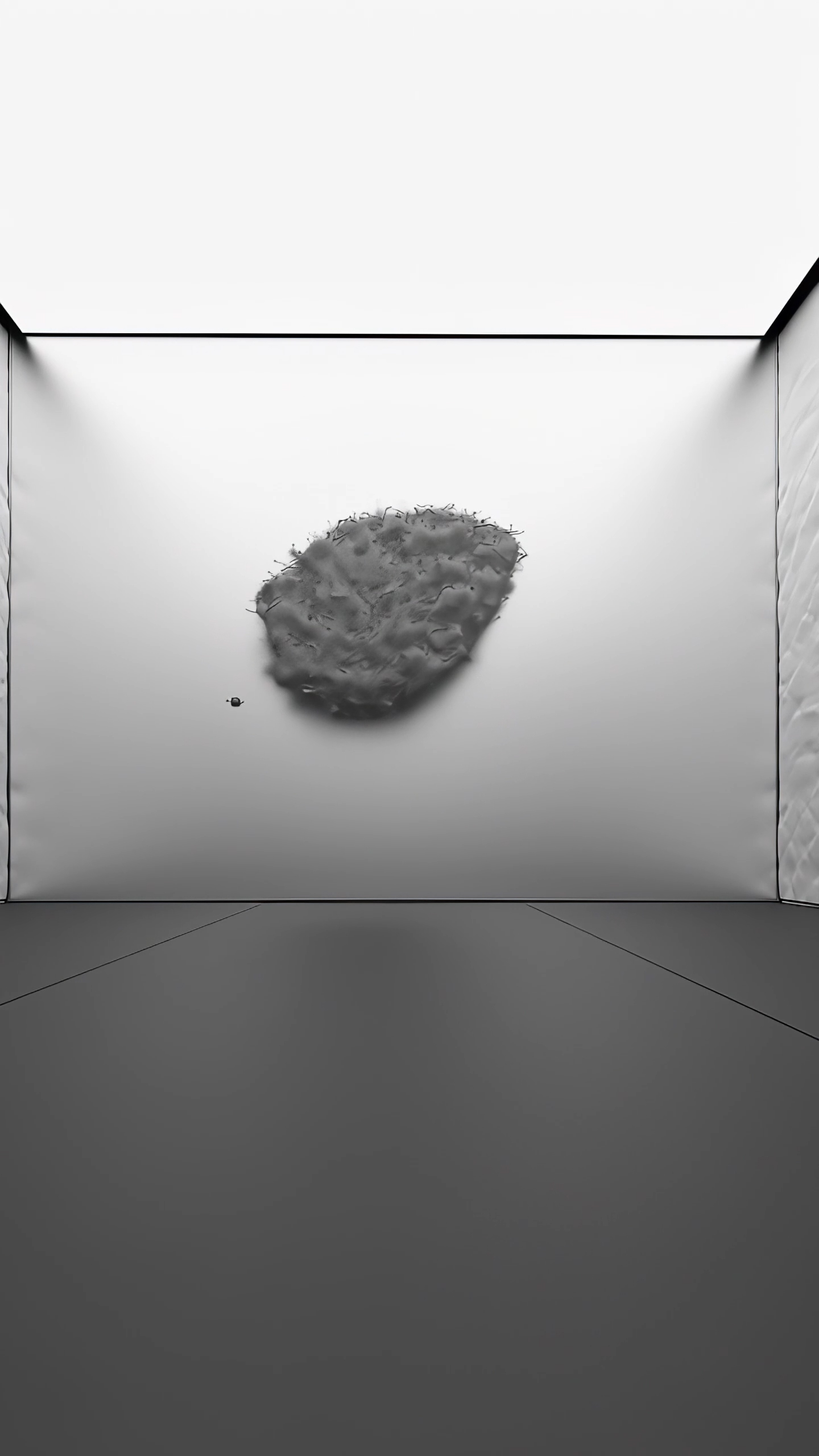 Visitors From Within